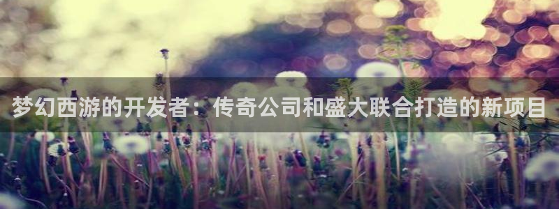 新宝GG官网注册平台：梦幻西游的开发者：传奇公司和盛大联合打造的新项目