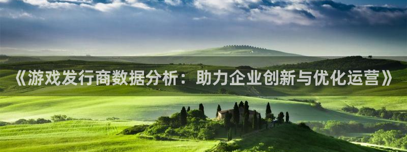 新宝GG品牌顾问有限公司：《游戏发行商数据分析：助力企业创新与优化运营》