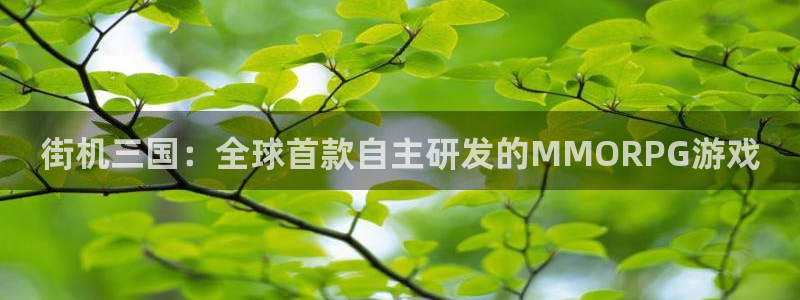 新宝GG子出版社：街机三国：全球首款自主研发的MMORPG游戏
