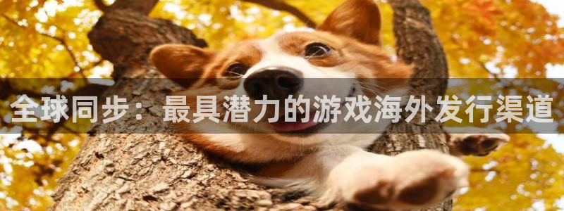 新宝GGlogo片头米高梅狮子：全球同步：最具潜力的游戏海外发行渠道