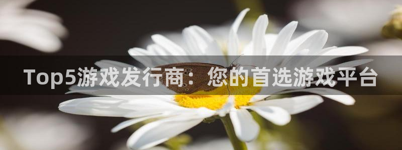 新宝GG子经理人