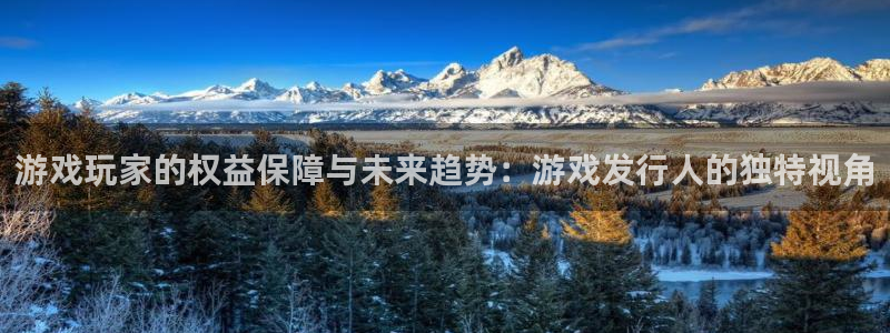 陕西新宝GG子文化创意有限公司1：游戏玩家的权益保障与未来趋势：游戏发行人的独特视角
