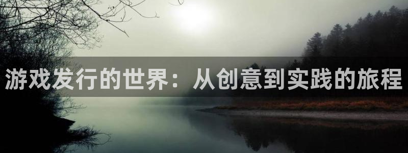 新宝GG娱乐测速官网：游戏发行的世界：从创意到实践的旅程
