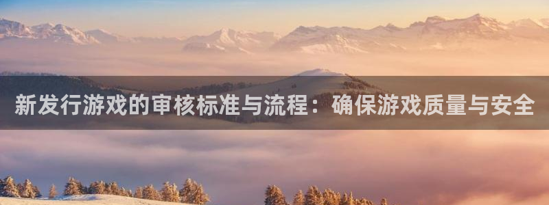 新宝GG品牌顾问有限公司：新发行游戏的审核标准与流程：确保游戏质量与安全