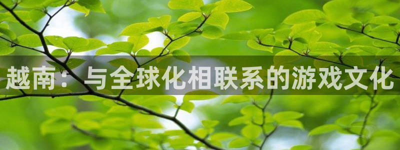 新宝GG官网注册平台怎么样：越南：与全球化相联系的游戏文化