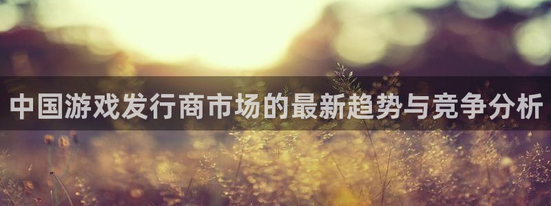 新宝GG官网注册平台怎么注册的：中国游戏发行商市场的最新趋势与竞争分析
