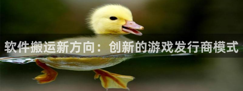 新宝GG涂料(北京)有限公司：软件搬运新方向：创新的游戏发行商模式