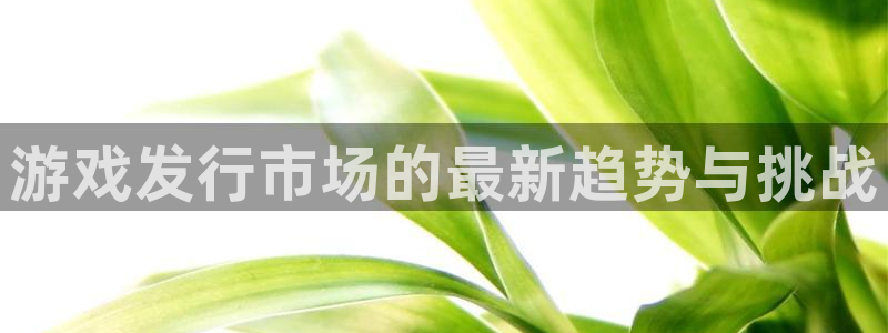 新宝GG子代表什么意思：游戏发行市场的最新趋势与挑战