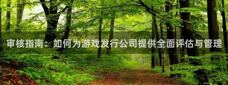 新宝GG官网登录注册账号：审核指南：如何为游戏发行公司提供全面评估与管理