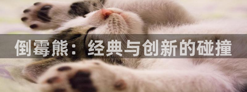 新宝GG官网客服服务怎么样：倒霉熊：经典与创新的碰撞