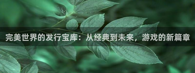 广州新宝GG投资管理顾问有限公司：完美世界的发行宝库：从经典到未来，游戏的新篇章