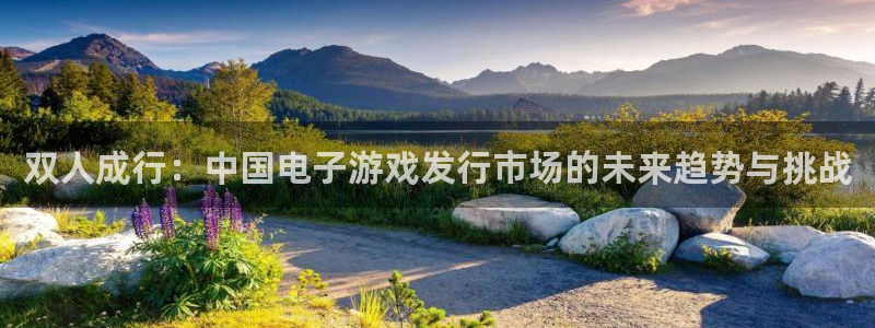 新宝GG官网下载分分彩：双人成行：中国电子游戏发行市场的未来趋势与挑战