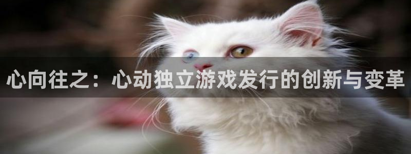 新宝GG官网注册登录失败：心向往之：心动独立游戏发行的创新与变革