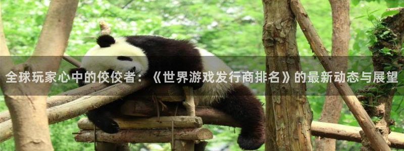 新宝GG品牌策划公司