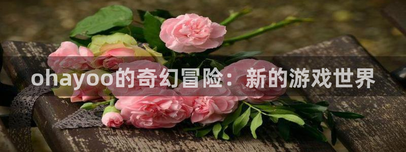 新宝GG集团董事长刘一辰简历：ohayoo的奇幻冒险：新的游戏世界